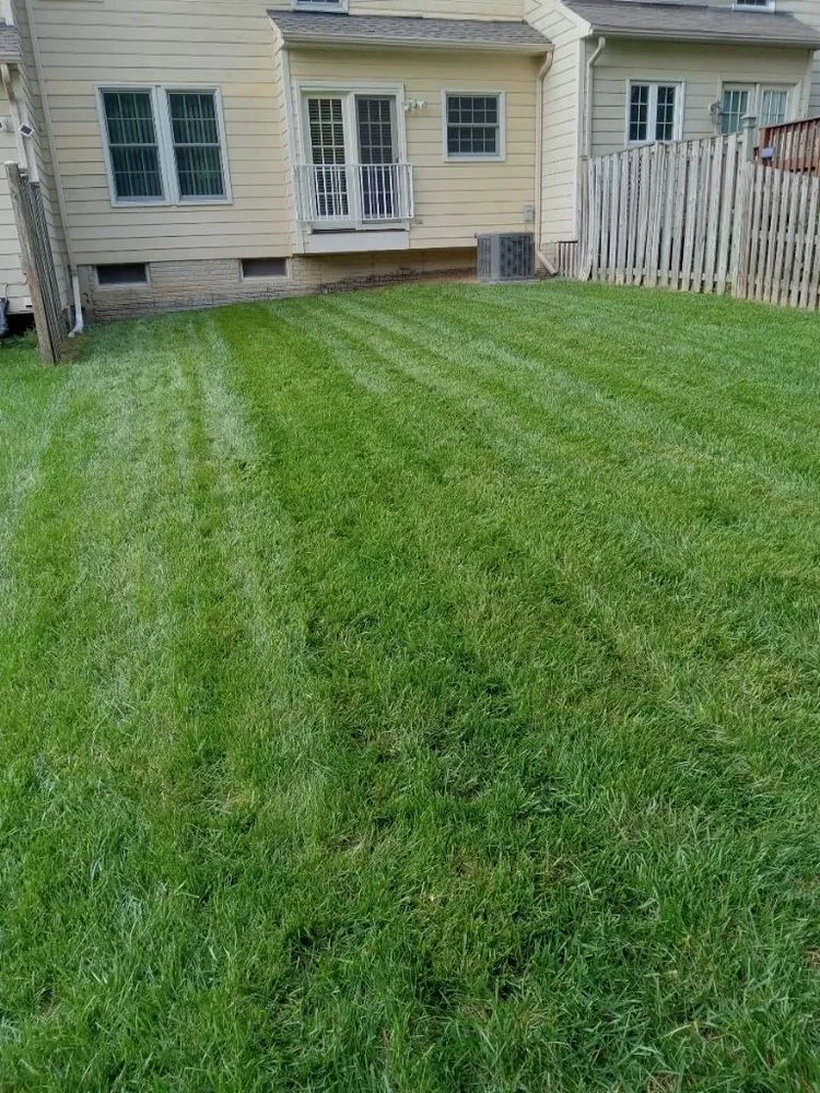 Professional residential landscaping experts serving Baltimore, MD - Golden Hands Handyman Services