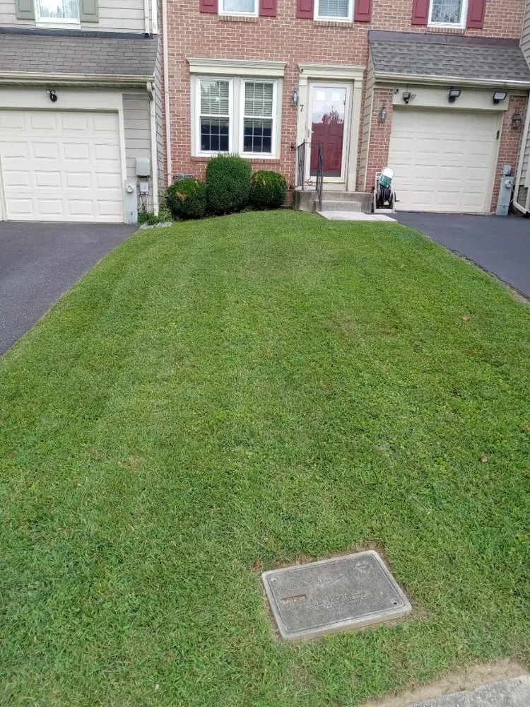 Local landscape installation for outdoor upgrades across Baltimore, MD - Golden Hands Handyman Services