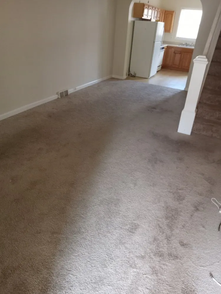 Professional landscaping services in Baltimore, MD by Golden Hands Handyman Services