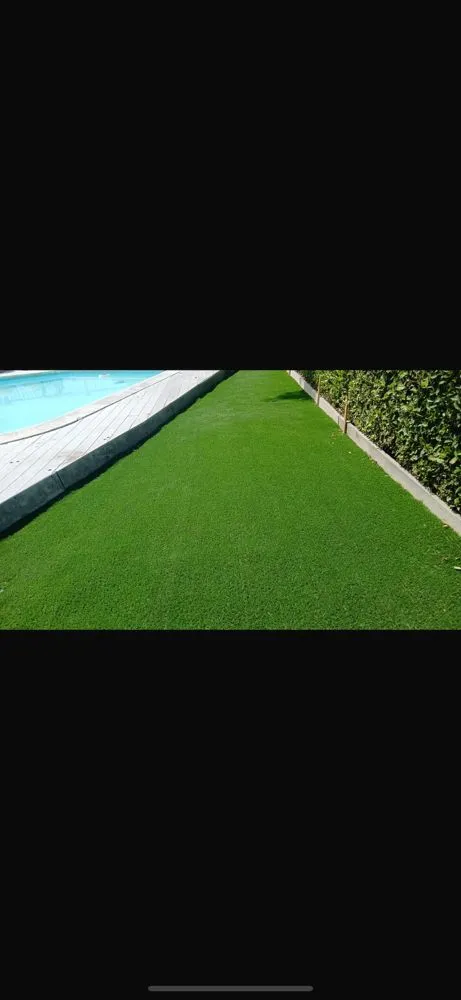 Reliable yard cleanup service in Bay Point, CA by Golden Hills Landscape