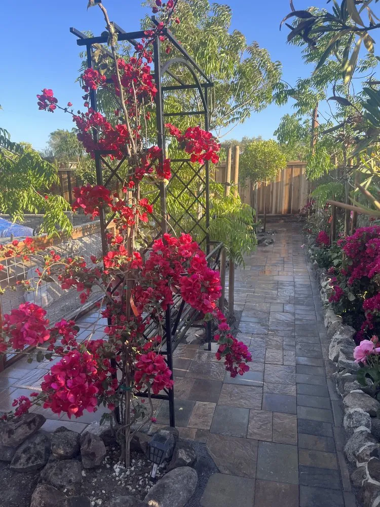 Professional yard cleanup service in Bay Point, CA by Golden Hills Landscape