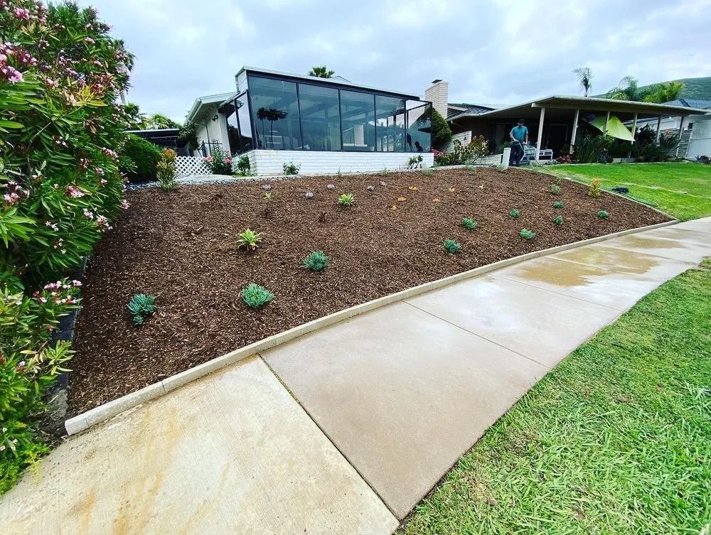 Local yard cleanup service for year-round maintenance across Vista, CA - Golden Hour Irrigation