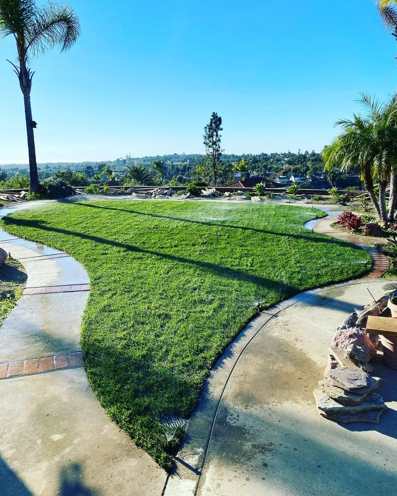 Reliable lawn mowing service in Vista, CA by Golden Hour Irrigation