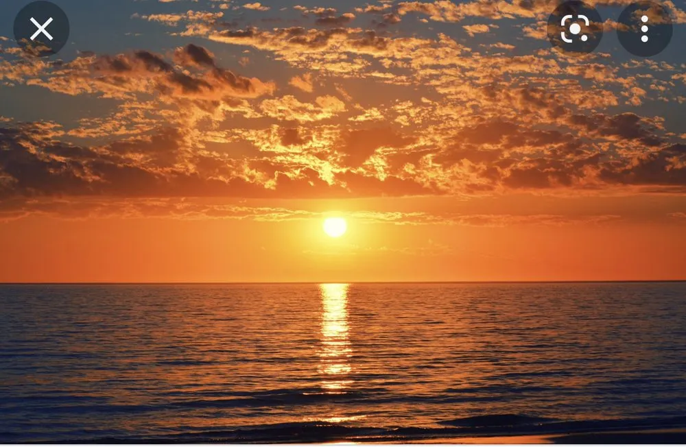 Custom landscaping services in Vista, CA - Golden Hour Irrigation