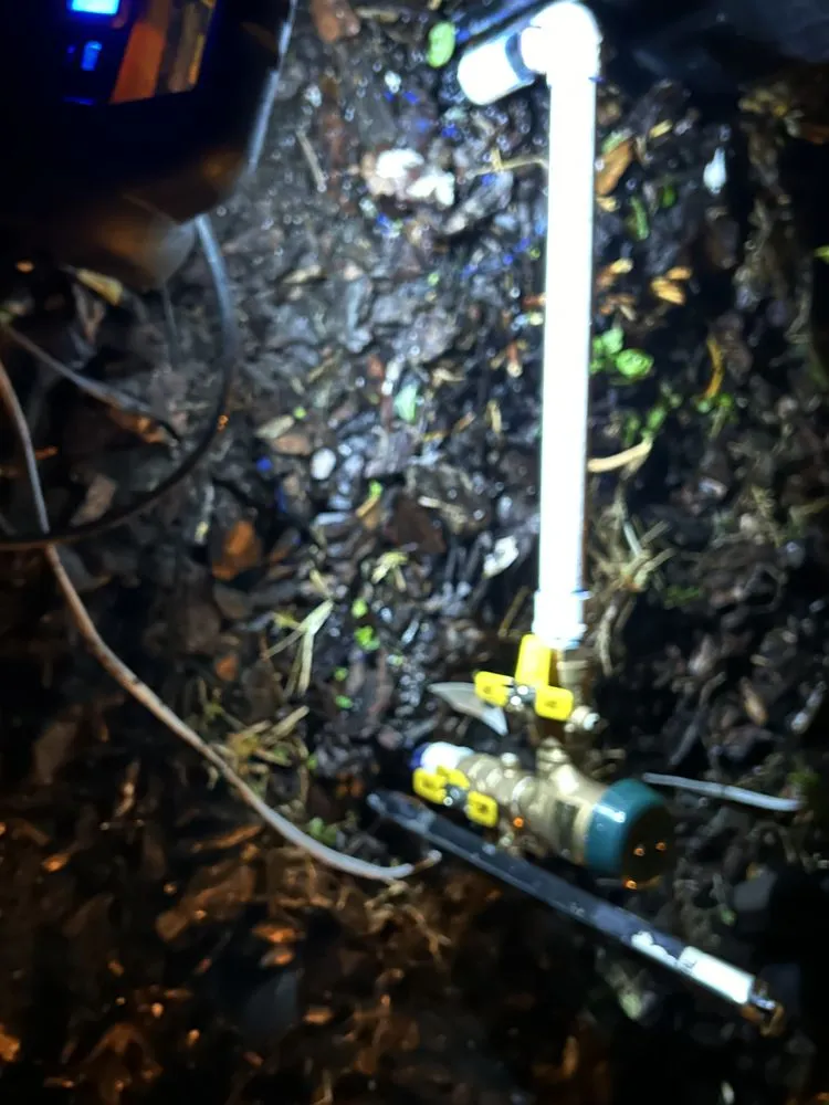 Reliable residential landscaping for beautiful yards in Dunnellon, FL by Golden Landscape And Irrigation