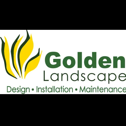 Expert yard maintenance experts serving Thousand Palms, CA - Golden Landscape