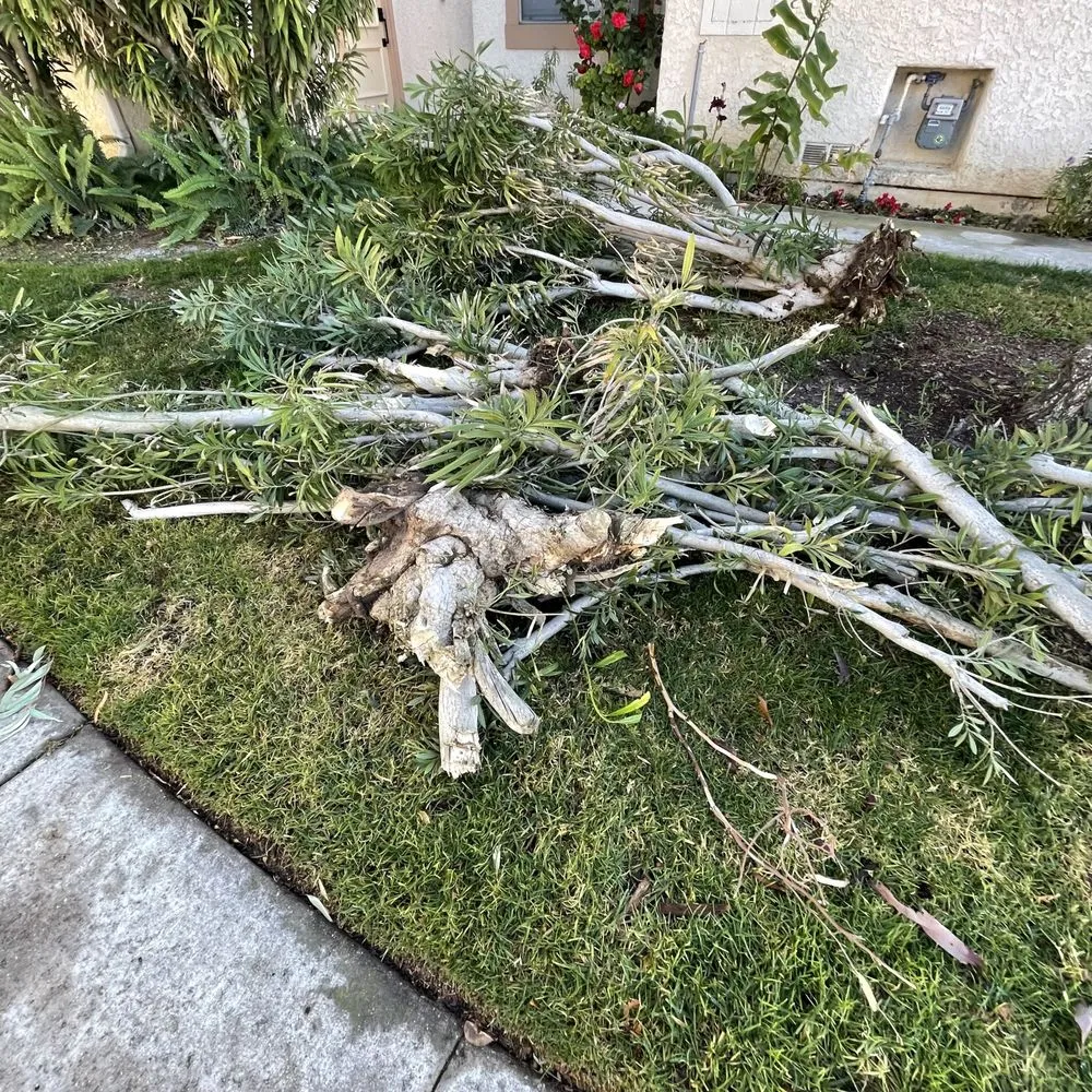 Custom outdoor landscaping near you across Thousand Oaks, CA - Golden Landscaping & Lawn services