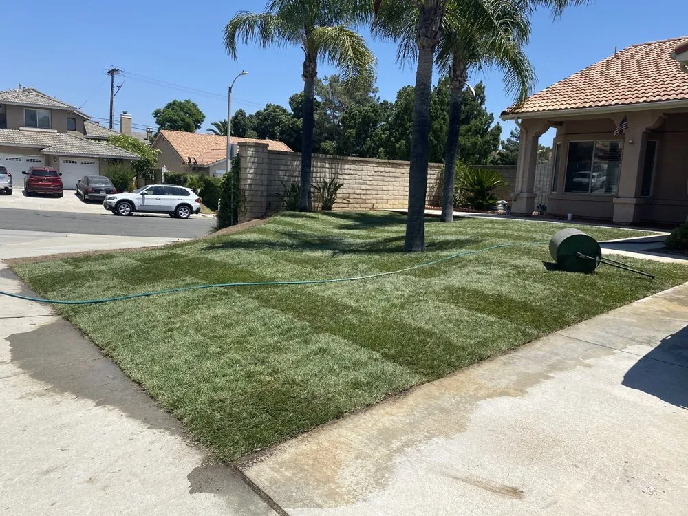Custom landscaping services for year-round maintenance in Thousand Oaks, CA by Golden Landscaping & Lawn services