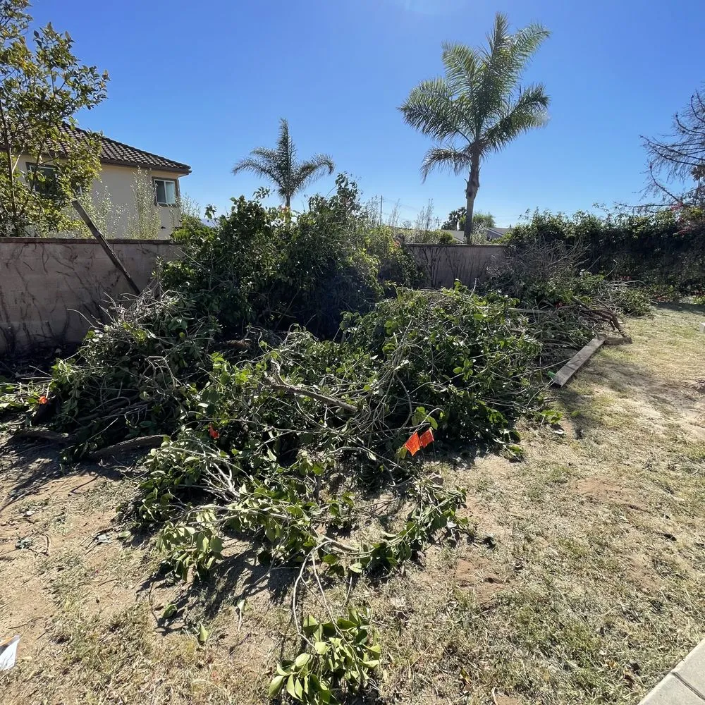 Reliable residential landscaping with custom design in Thousand Oaks, CA by Golden Landscaping & Lawn services