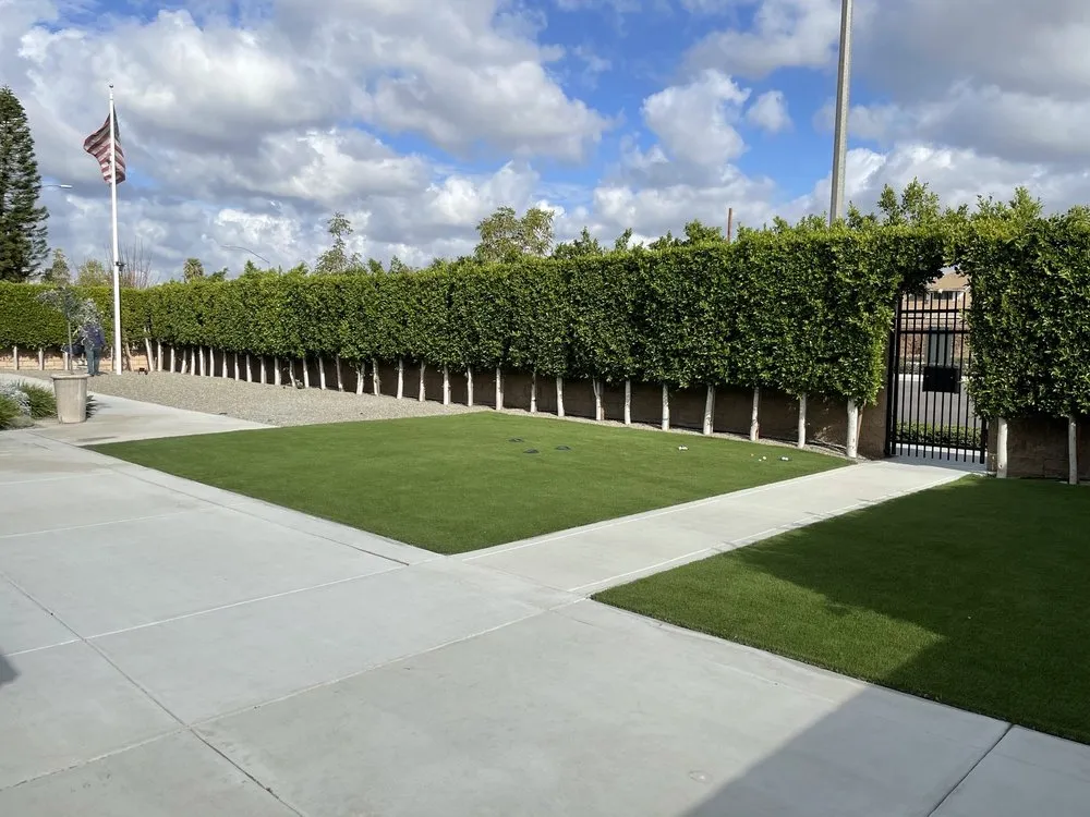 Expert yard cleanup service in Thousand Oaks, CA - Golden Landscaping & Lawn services