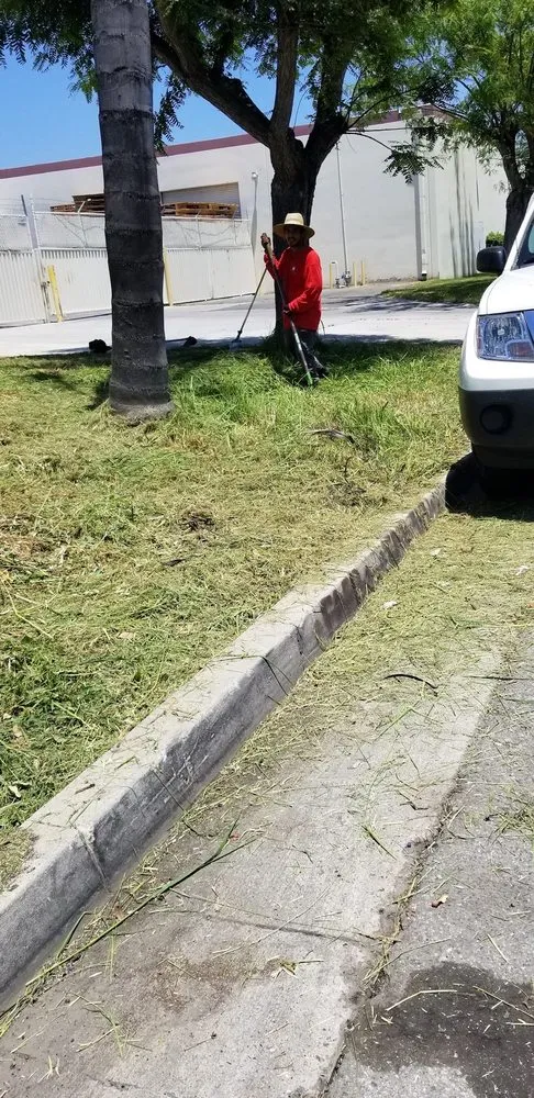 Top-rated landscaping services experts serving Thousand Oaks, CA - Golden Landscaping & Lawn services