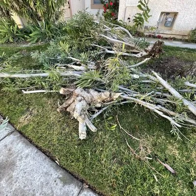 Golden Landscaping & Lawn services Logo