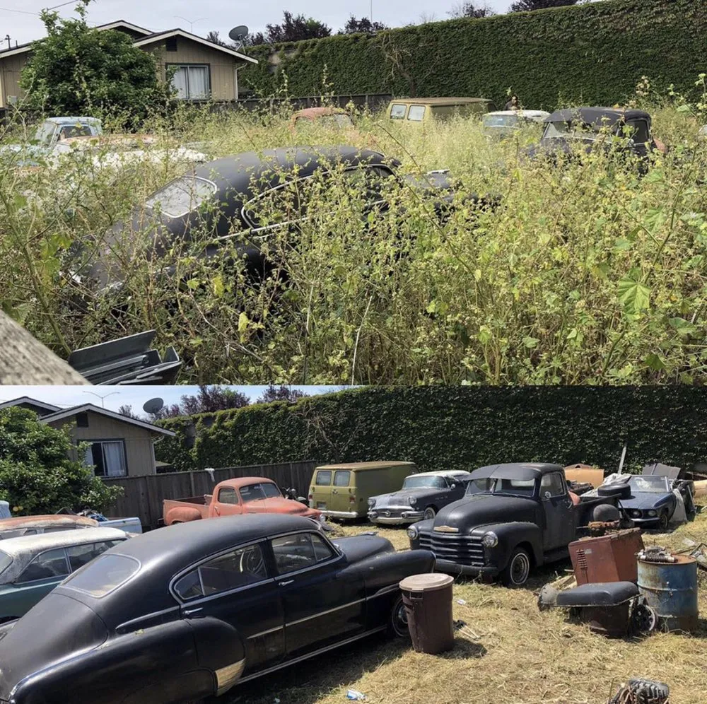 Affordable landscape design experts serving Hayward, CA - Golden Landscaping