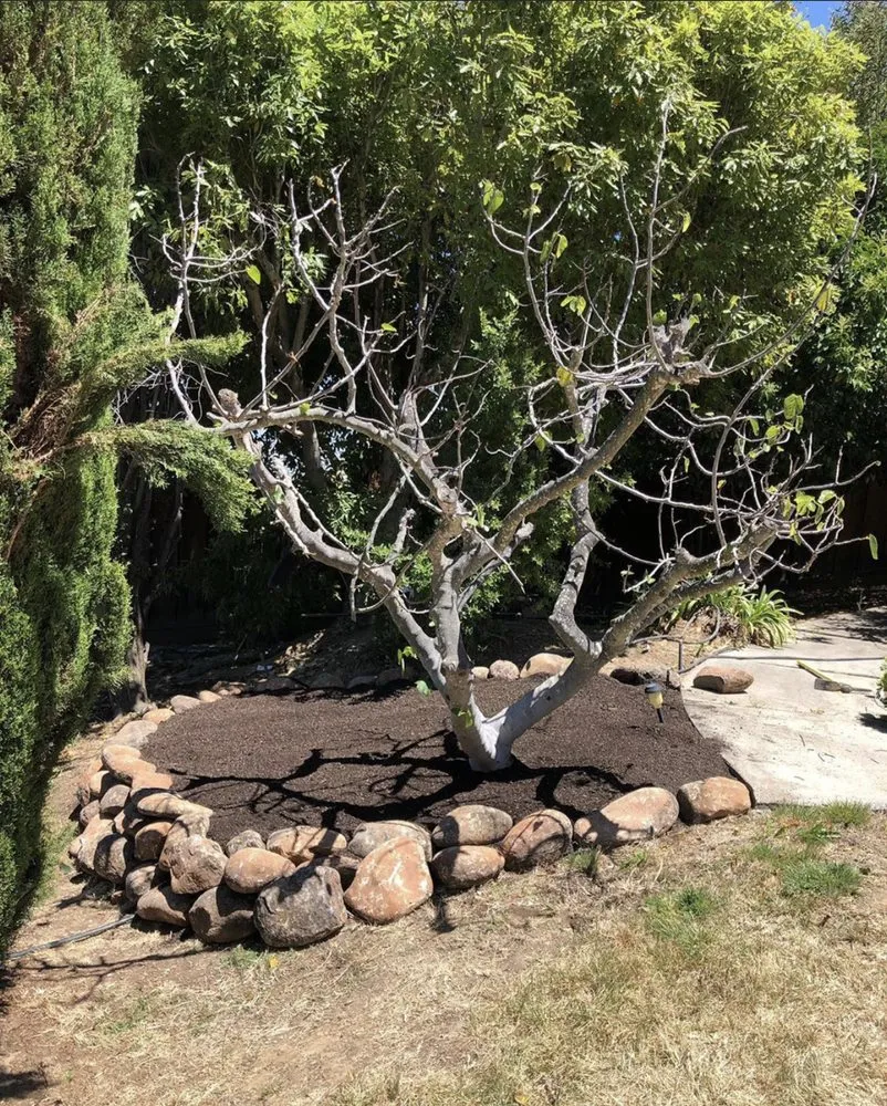 Expert landscape design in Hayward, CA - Golden Landscaping