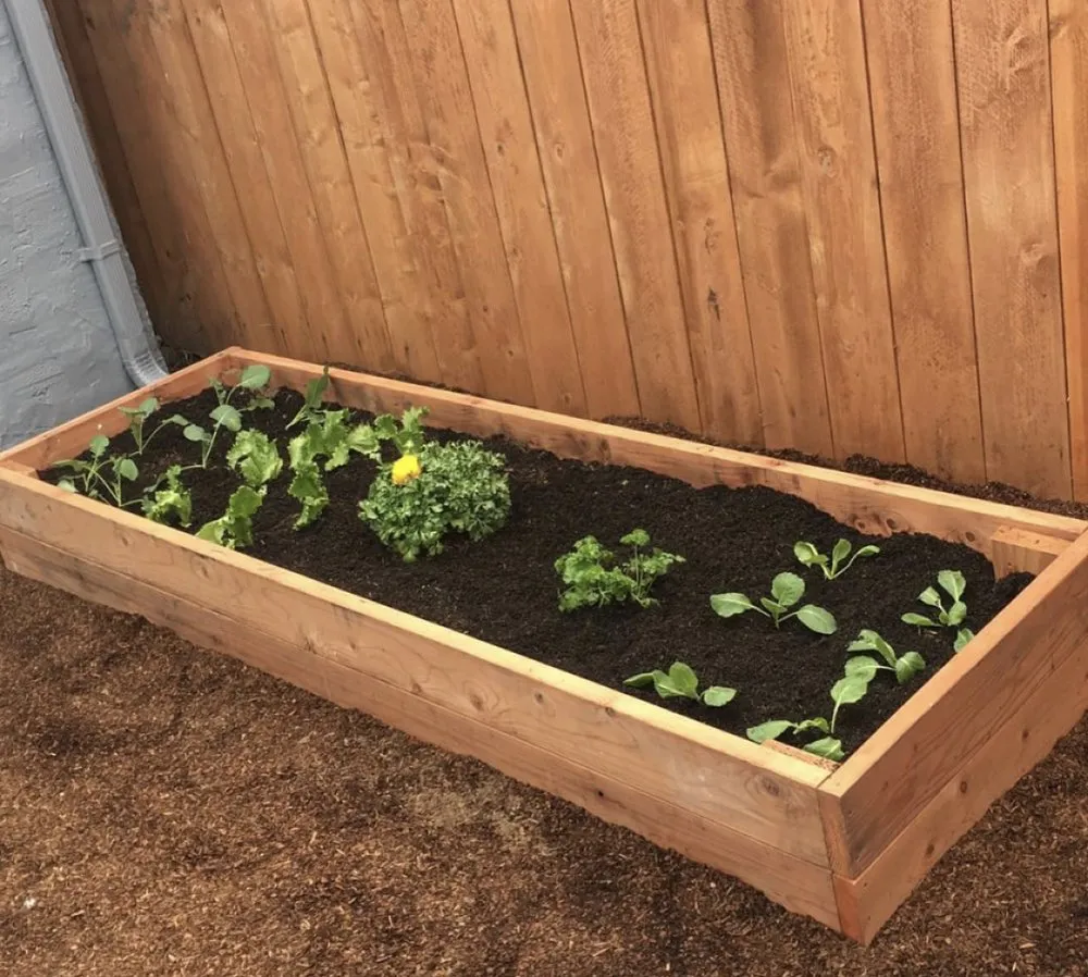 Affordable landscape installation in Hayward, CA by Golden Landscaping