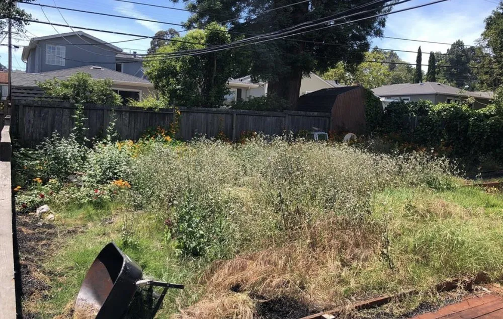 Professional landscape design for residential properties across Hayward, CA - Golden Landscaping