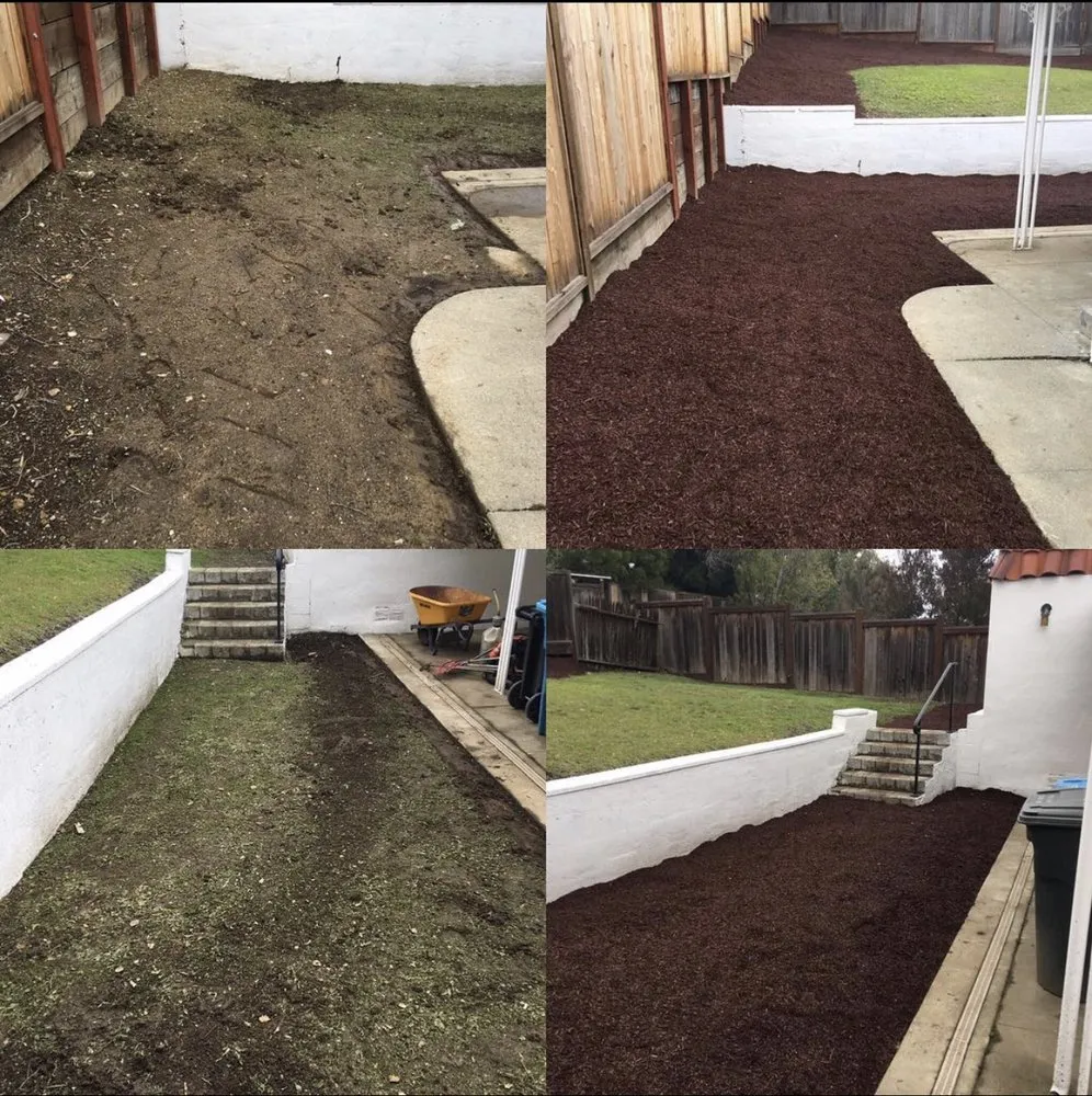 Top-rated residential landscaping experts serving Hayward, CA - Golden Landscaping