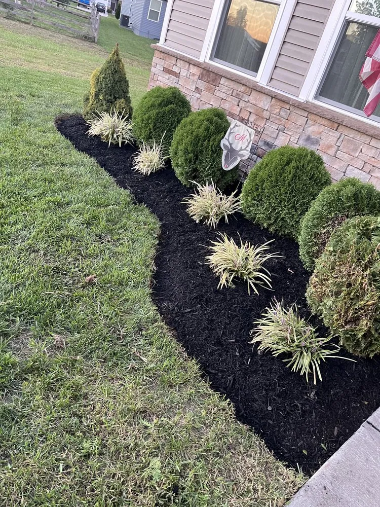 Trusted landscape installation for year-round maintenance across King George, VA - Golden Landscaping