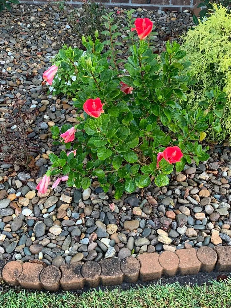 Trusted lawn mowing service for homes across Little River, SC - Golden Landscaping