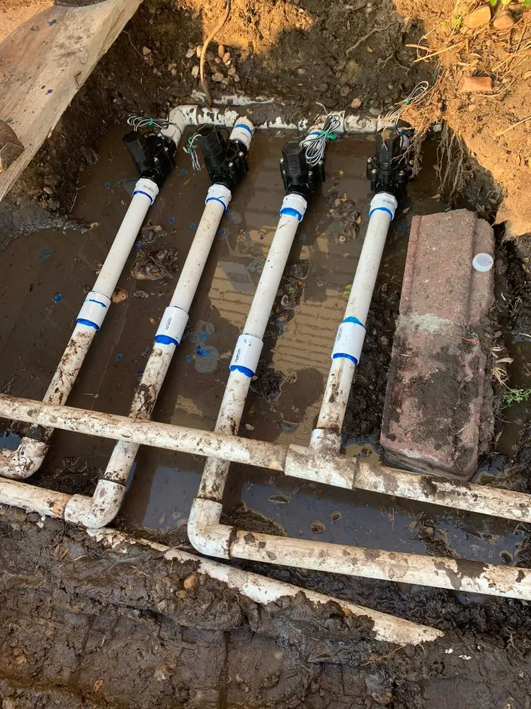 Expert lawn care service in Little River, SC by Golden Landscaping