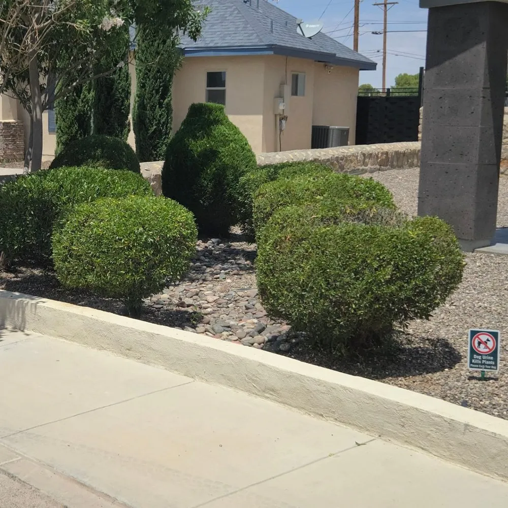 Top-rated residential landscaping near you in El Paso, TX by Golden Lawn & Yard Service