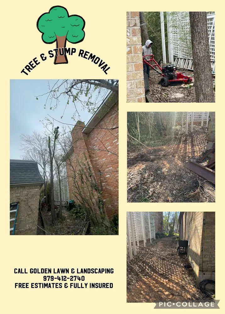 Professional lawn mowing service for year-round maintenance across Bryan, TX - Golden Lawn and Landscaping