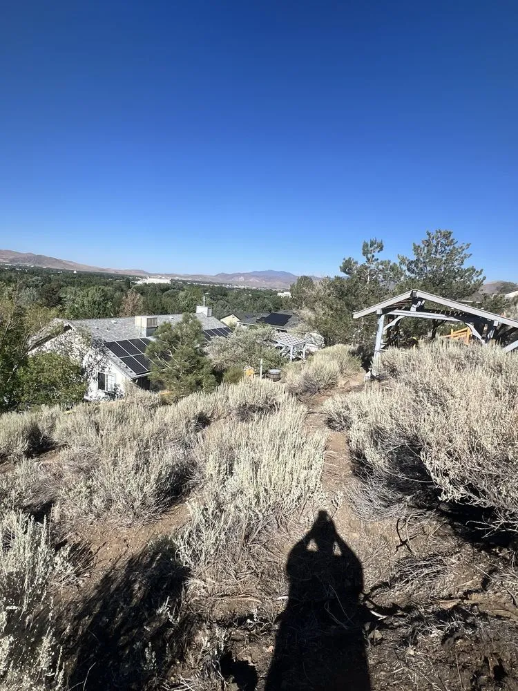 Top-rated lawn care service experts serving Carson City, NV - Golden Lawn Care Service