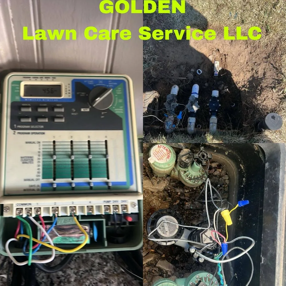 Trusted landscape installation experts serving Carson City, NV - Golden Lawn Care Service