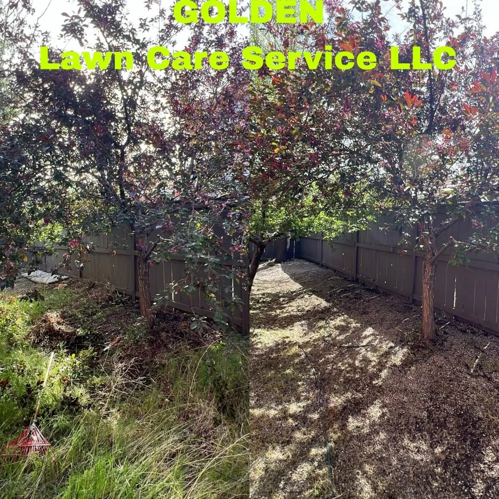 Professional landscape design for residential properties across Carson City, NV - Golden Lawn Care Service