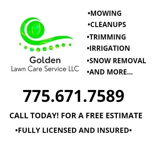 Local yard maintenance for year-round maintenance in Carson City, NV by Golden Lawn Care Service
