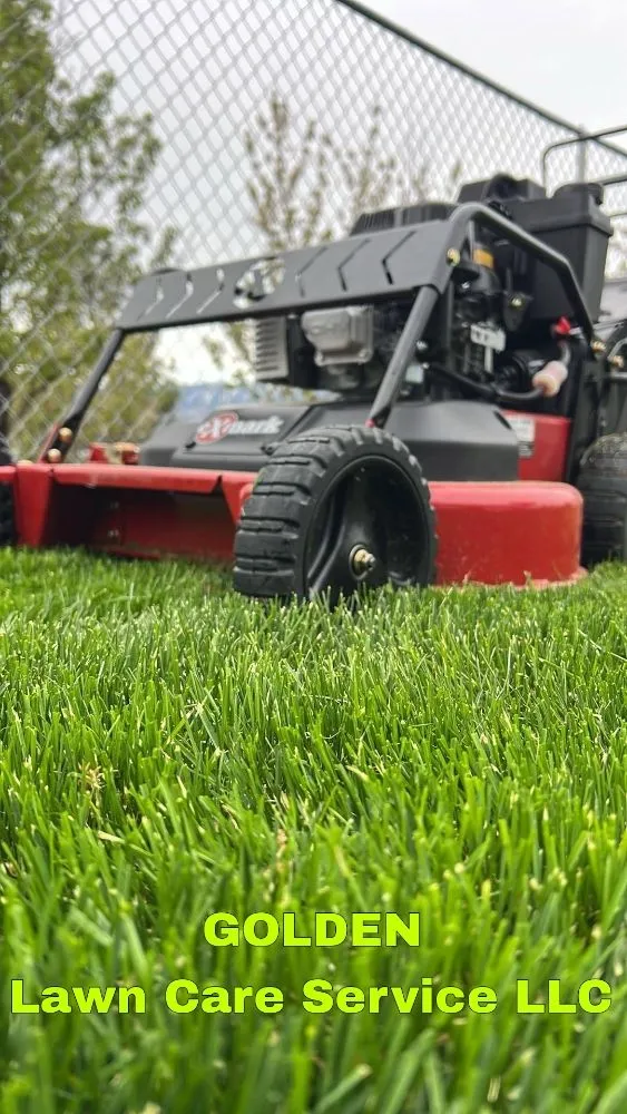 Trusted landscape installation experts serving Carson City, NV - Golden Lawn Care Service