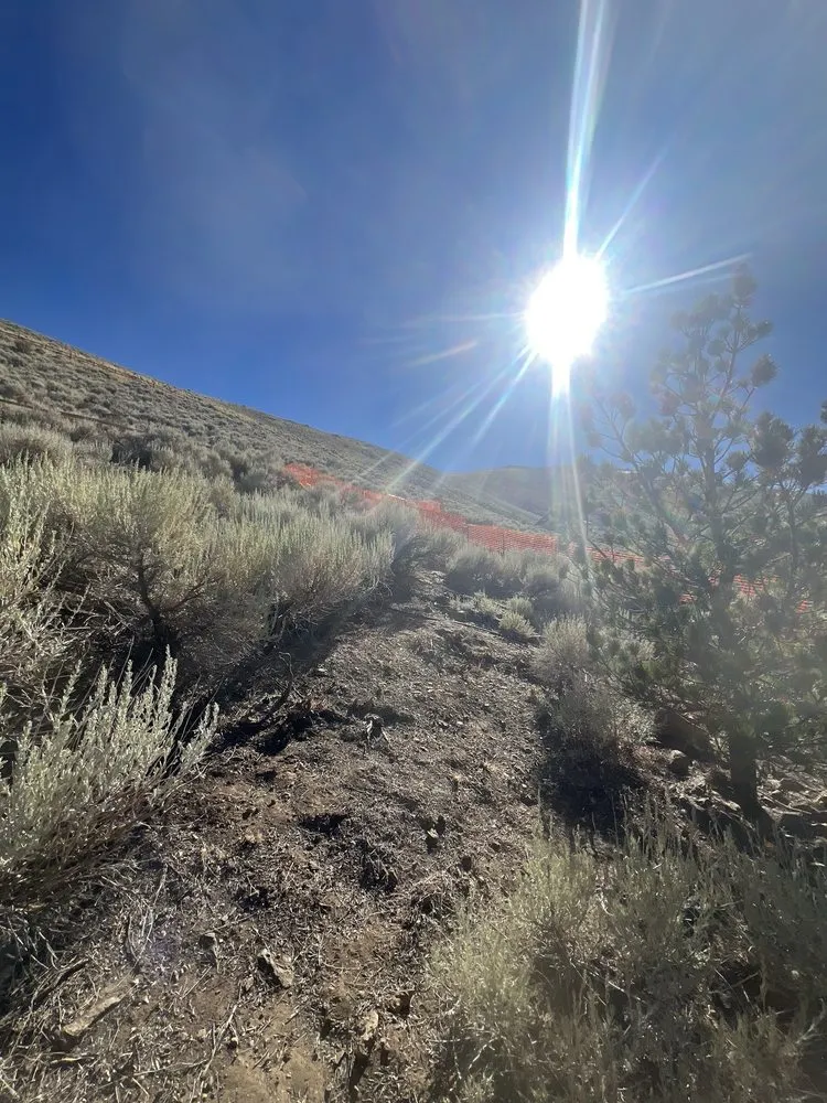 Top-rated lawn care service experts serving Carson City, NV - Golden Lawn Care Service