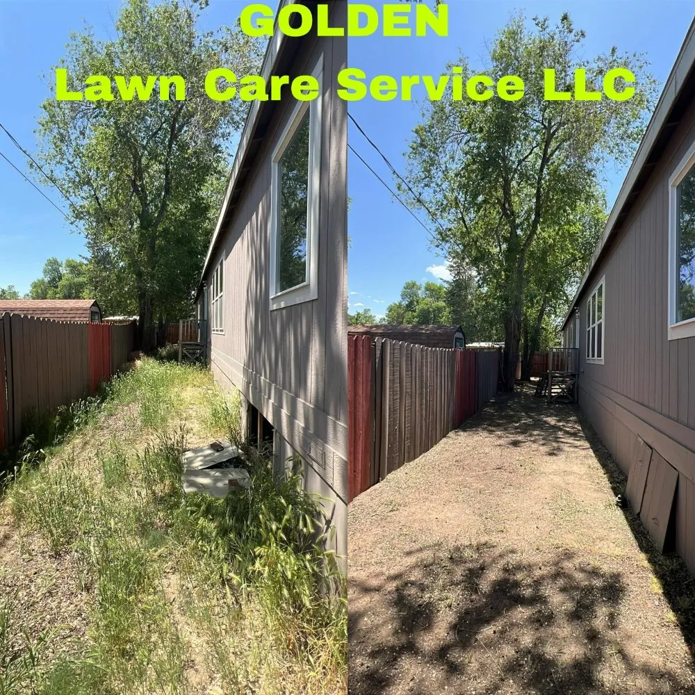 Affordable landscaping services for outdoor upgrades across Carson City, NV - Golden Lawn Care Service