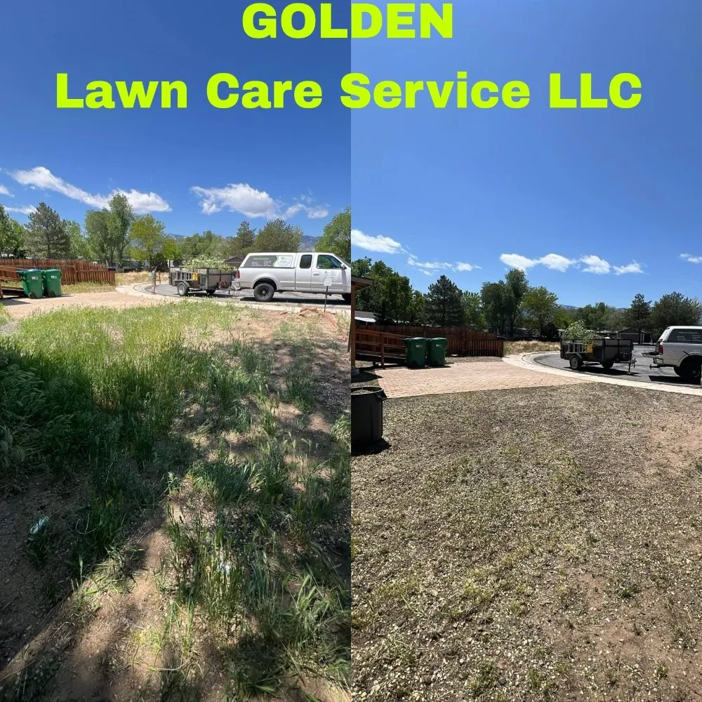 Reliable lawn mowing service experts serving Carson City, NV - Golden Lawn Care Service