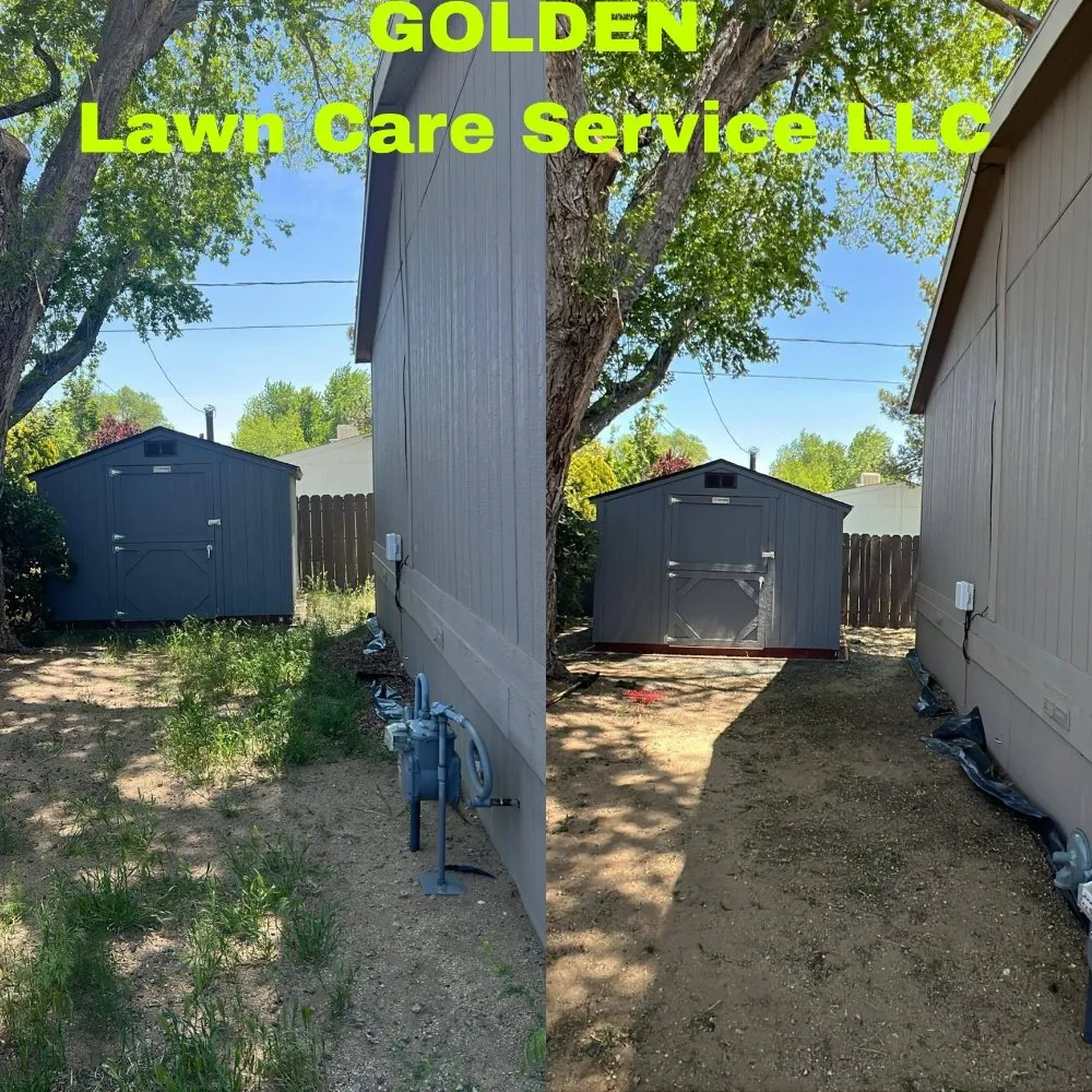 Top-rated residential landscaping experts serving Carson City, NV - Golden Lawn Care Service