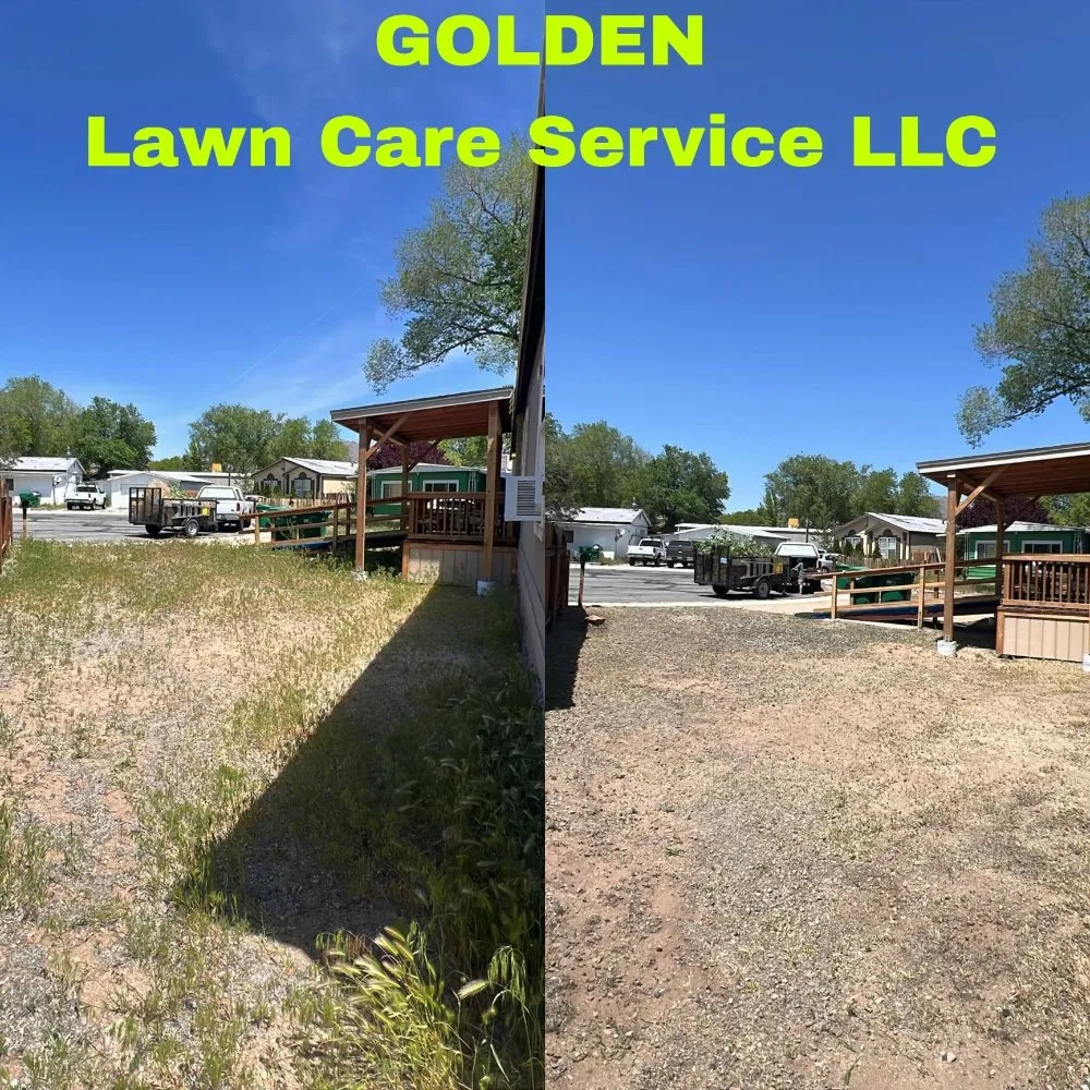 Affordable landscape design for outdoor upgrades in Carson City, NV by Golden Lawn Care Service