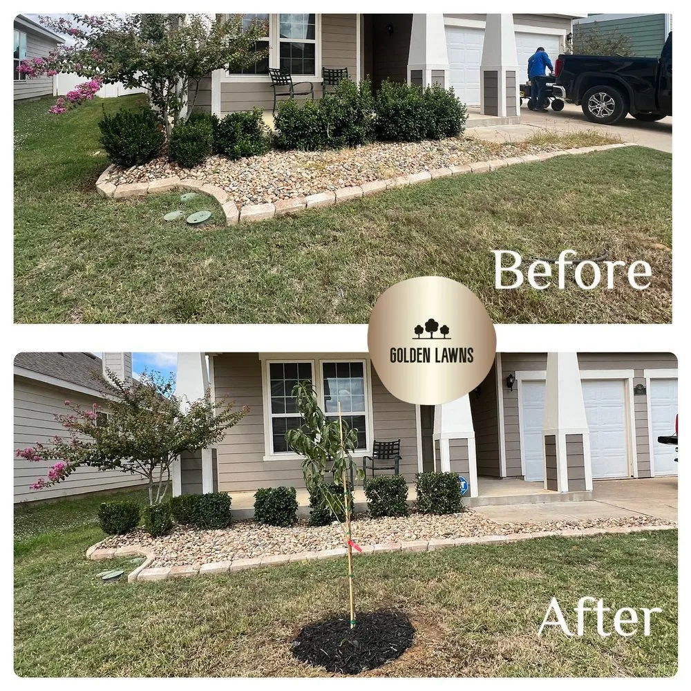 Top-rated yard maintenance in Providence Village, TX by Golden Lawns
