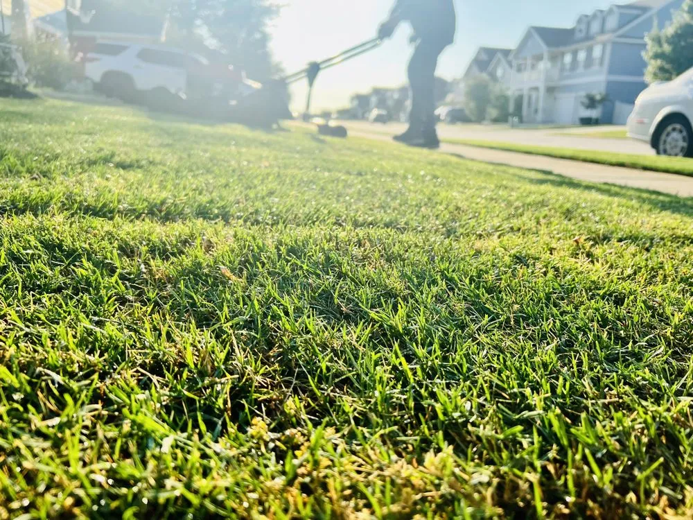 Trusted yard maintenance experts serving Providence Village, TX - Golden Lawns