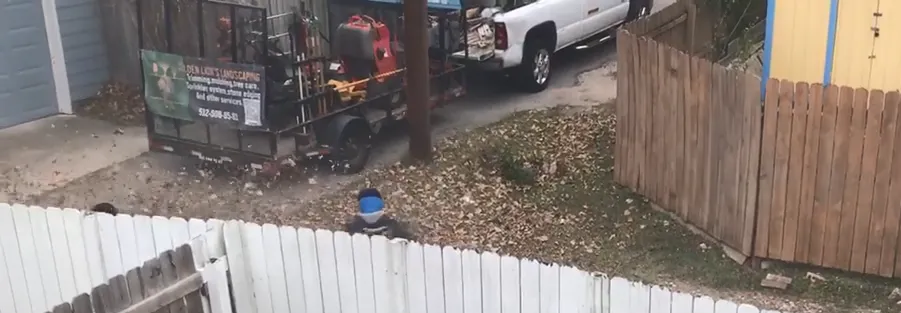 Reliable lawn mowing service in Fort Worth, TX - Golden Lion Landscaping