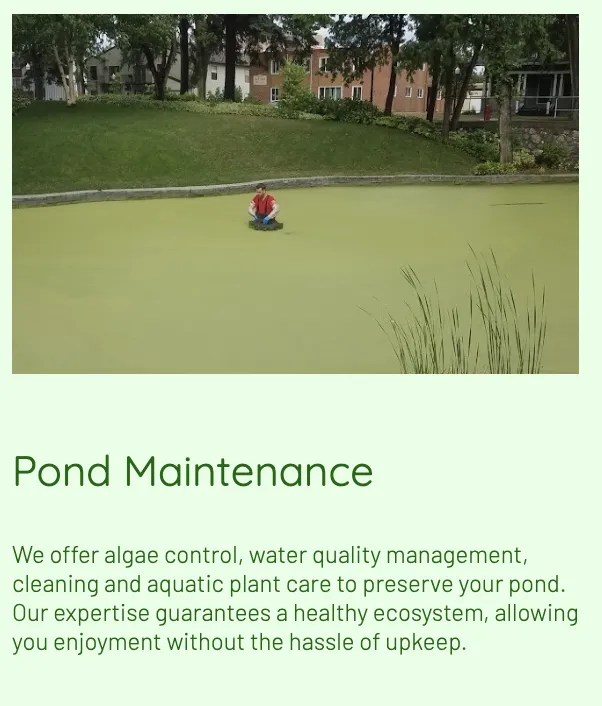 Professional yard maintenance for outdoor upgrades across Casselton, ND - Golden Meadows Landscaping