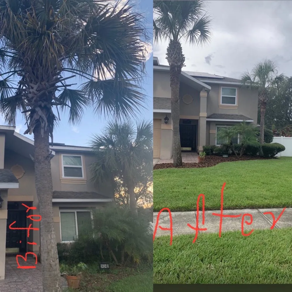 Custom landscape design in Orlando, FL - Golden Oak Landscape and Tree Service