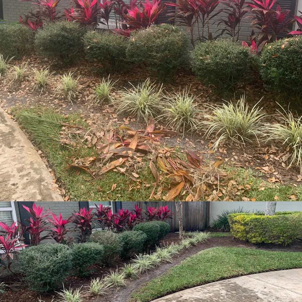Local lawn care service in Orlando, FL - Golden Oak Landscape and Tree Service