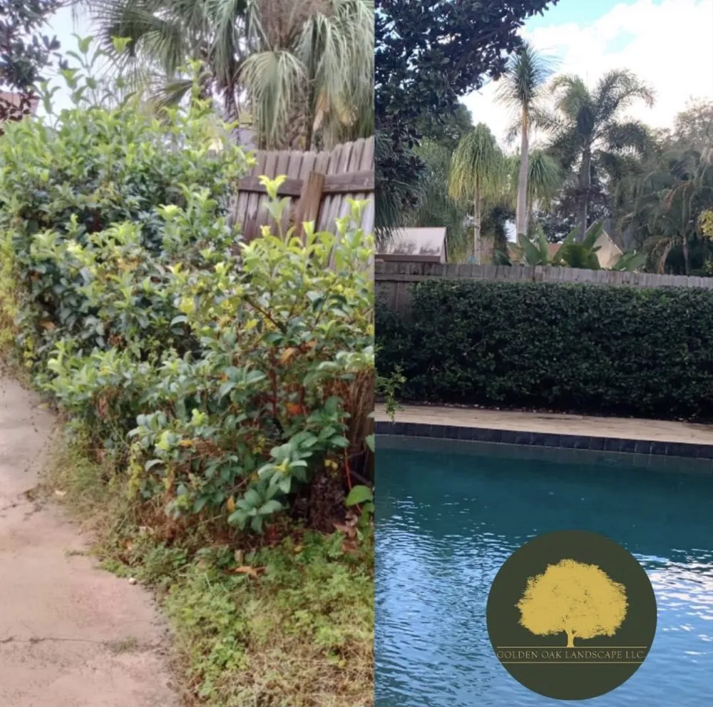 Affordable landscaping services for beautiful yards in Orlando, FL by Golden Oak Landscape and Tree Service