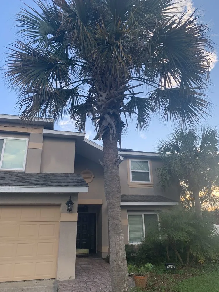 Local yard cleanup service near you across Orlando, FL - Golden Oak Landscape and Tree Service