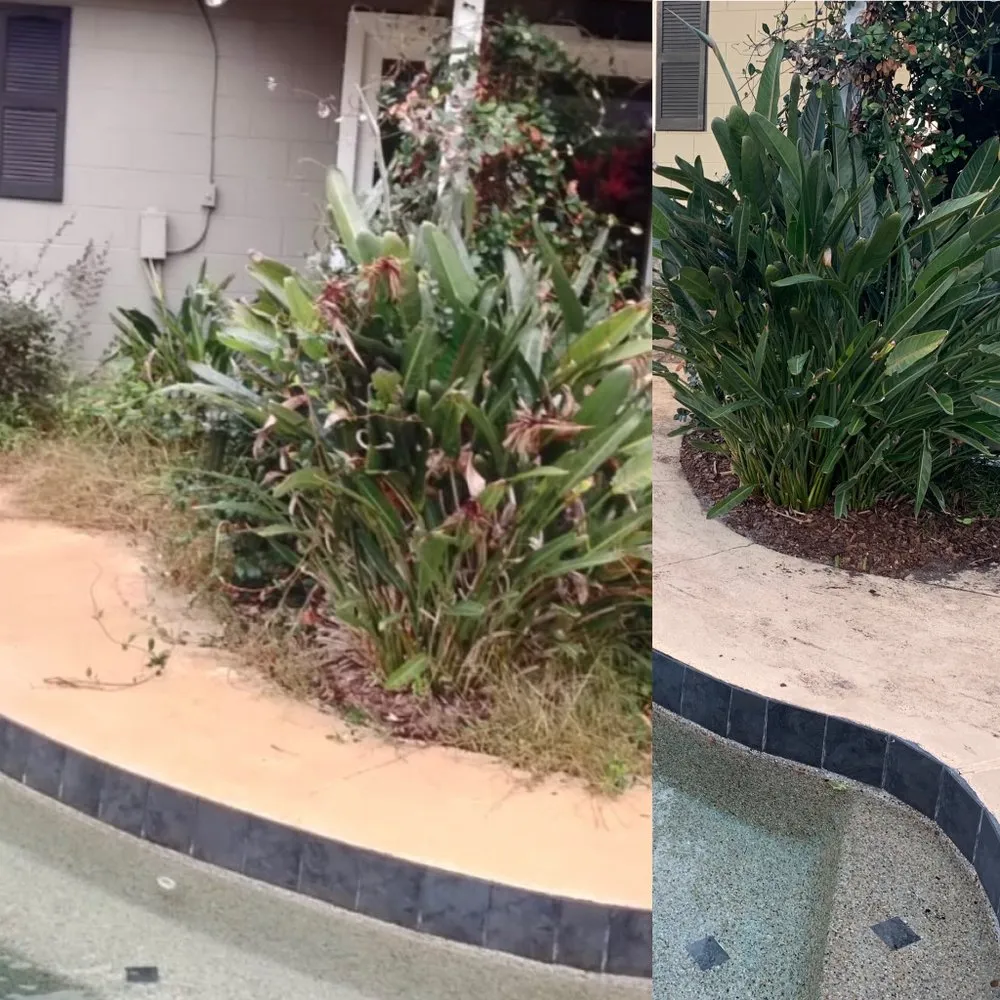 Top-rated lawn mowing service near you in Orlando, FL by Golden Oak Landscape and Tree Service