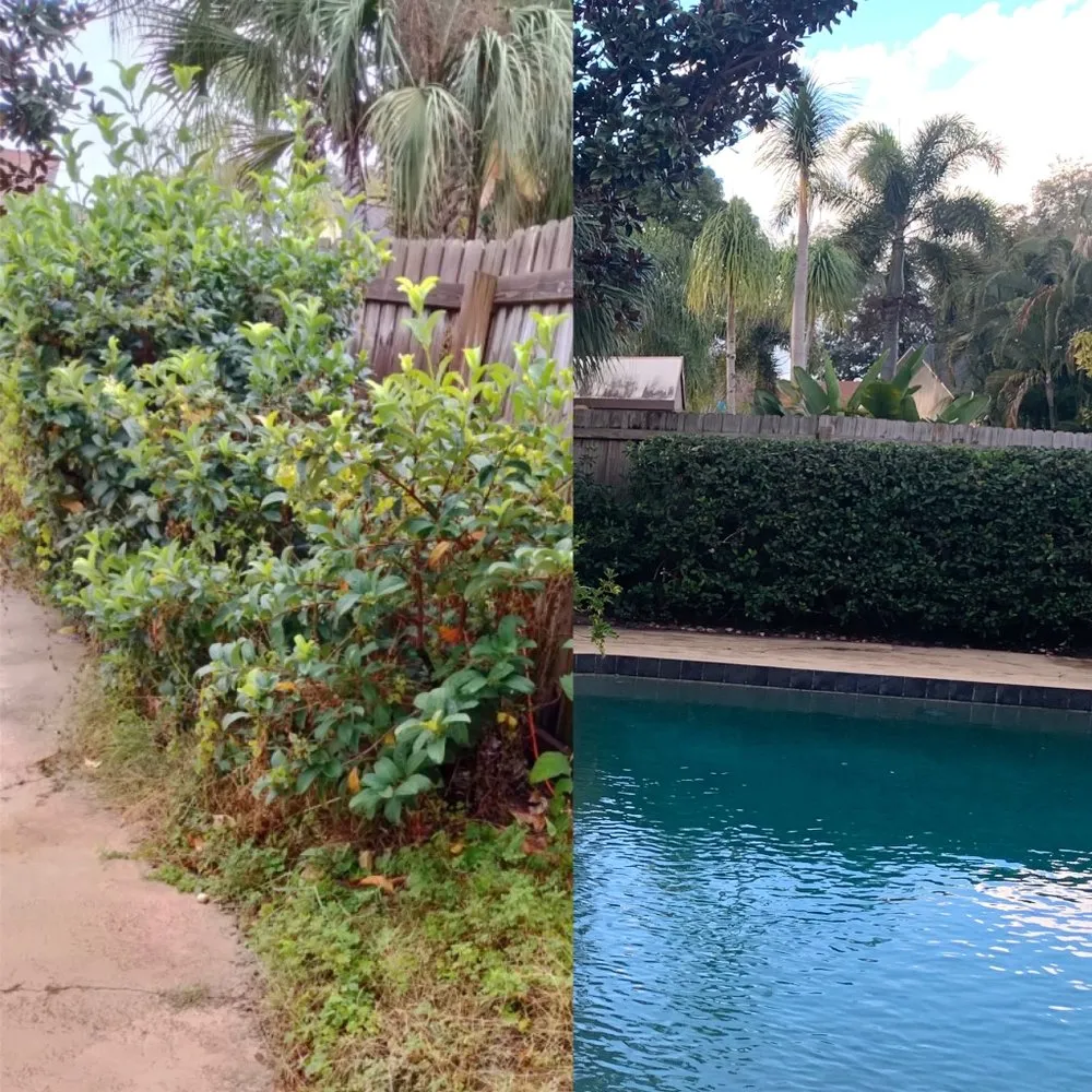 Expert landscape installation for homes in Orlando, FL by Golden Oak Landscape and Tree Service