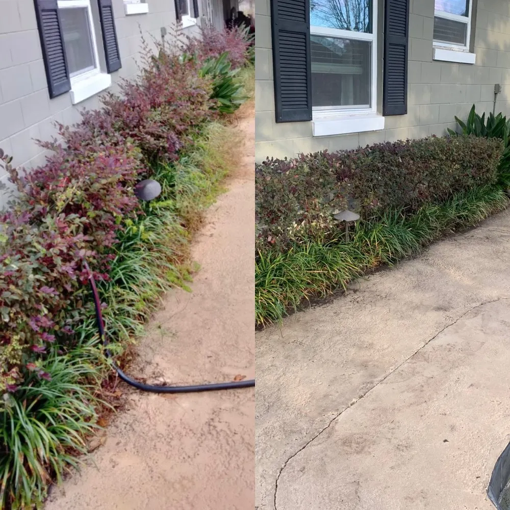 Reliable garden landscaping in Orlando, FL by Golden Oak Landscape and Tree Service