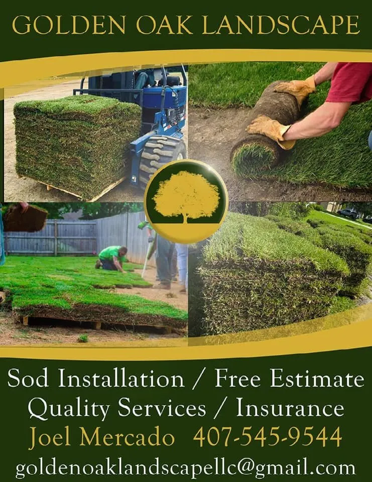 Affordable yard maintenance experts serving Orlando, FL - Golden Oak Landscape and Tree Service