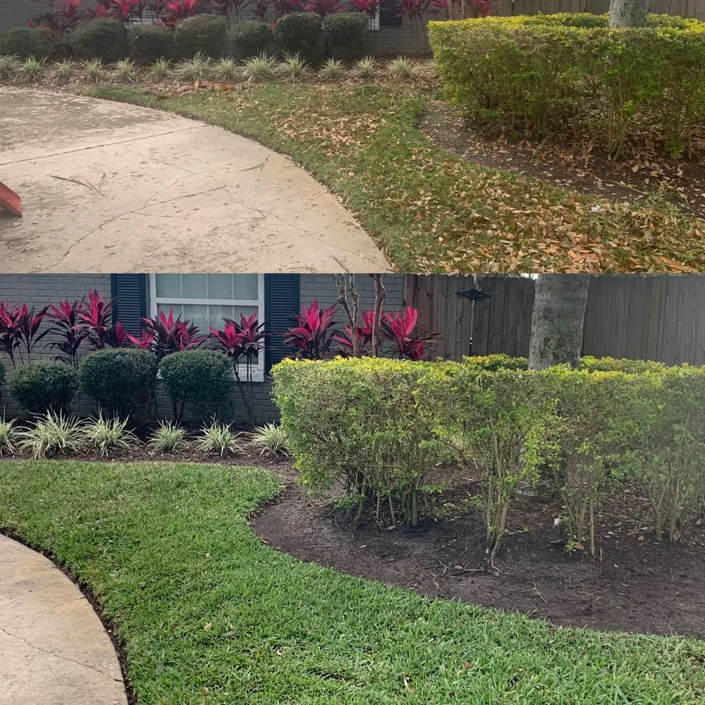 Affordable landscaping services in Orlando, FL by Golden Oak Landscape and Tree Service