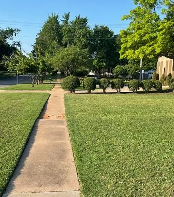 Golden Oak Lawn & Landscaping Logo